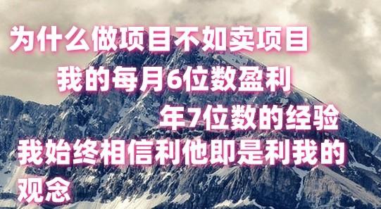 做项目不如卖项目，每月6位数盈利，年7位数经验-轻创副业圈