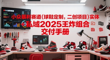 小众暴利赛道(球鞋定制，二创项目)实体+私域2025王炸组合  交付手册-轻创副业圈