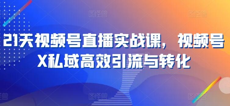 21天视频号直播实战课，视频号X私域高效引流与转化-轻创副业圈