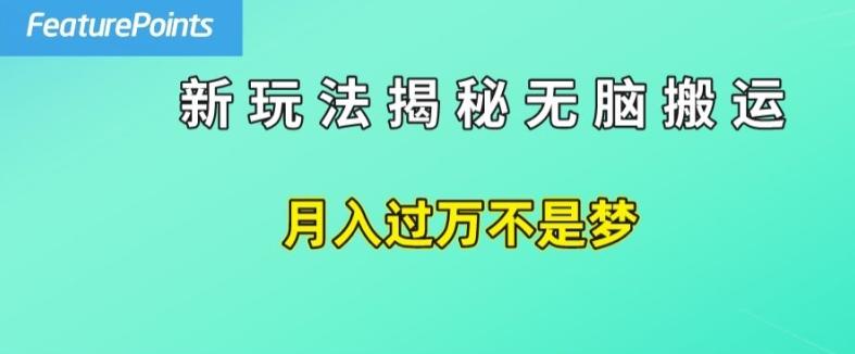 简单操作，每天50美元收入，搬运就是赚钱的秘诀【揭秘】-轻创副业圈