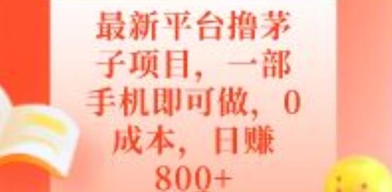 最新平台撸茅子项目，一部手机即可做，0成本，日赚800+-轻创副业圈
