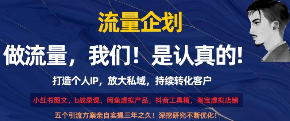 流量企划，打造个人IP，放大私域，持续转化客户【揭秘】-轻创副业圈