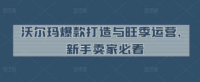 沃尔玛爆款打造与旺季运营，新手卖家必看-轻创副业圈