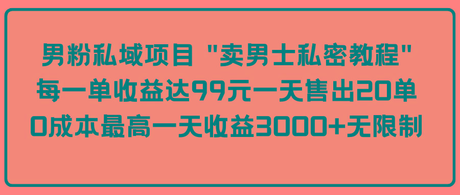 (9730期)男粉私域项目 “卖男士私密教程” 每一单收益达99元一天售出20单-轻创副业圈
