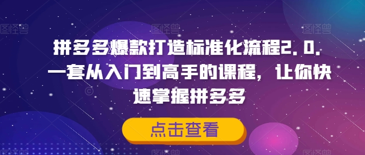 拼多多爆款打造标准化流程2.0，一套从入门到高手的课程，让你快速掌握拼多多-轻创副业圈