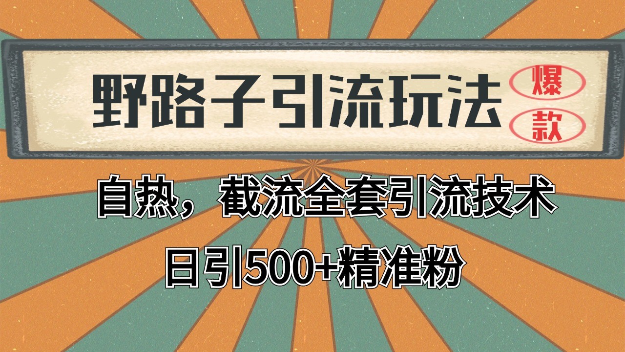 2024首发野路子引流玩法截流自热全平台打法，全自动引流【日引2000+精准客户】-轻创副业圈