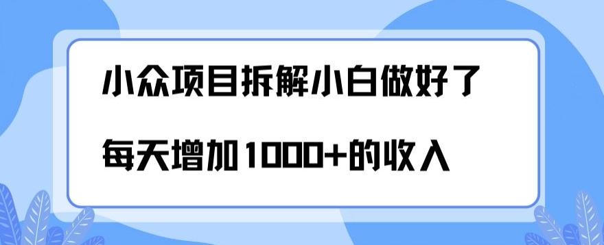 小众项目拆解，小白做好了每天可增加1000多的收入-轻创副业圈