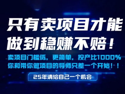 只有卖项目才能做到稳挣不赔，门槛低，更简单，你也可以年入百个W【揭秘】-轻创副业圈