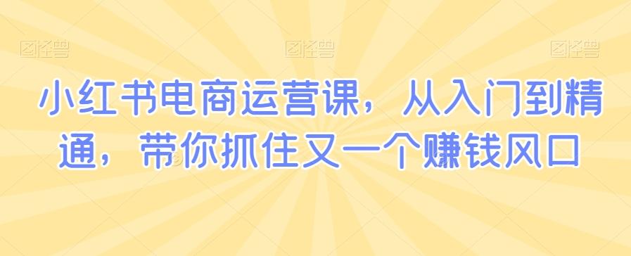 小红书电商运营课，从入门到精通，带你抓住又一个赚钱风口-轻创副业圈
