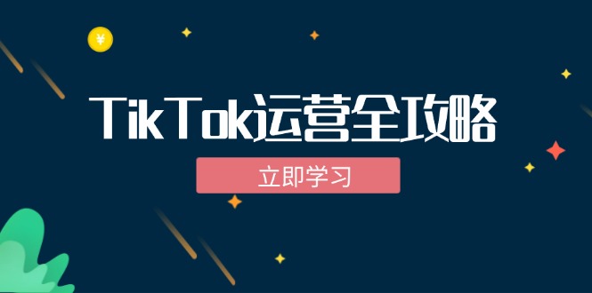 TikTok实战运营全攻略：从下载软件到变现，抖音海外版实操教程-轻创副业圈