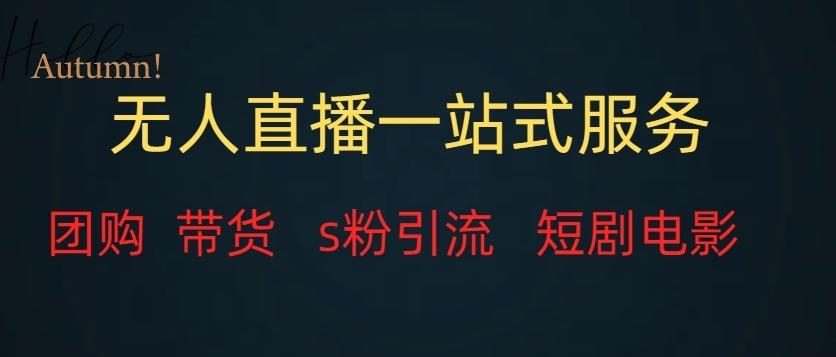 无人直播一站式服务（教程以及变现方式）-轻创副业圈
