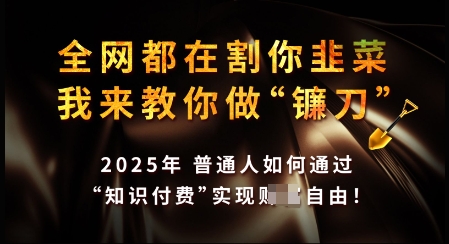 知识付费如何做到月入过W+，2025我来教你做“镰刀”【揭秘】-轻创副业圈
