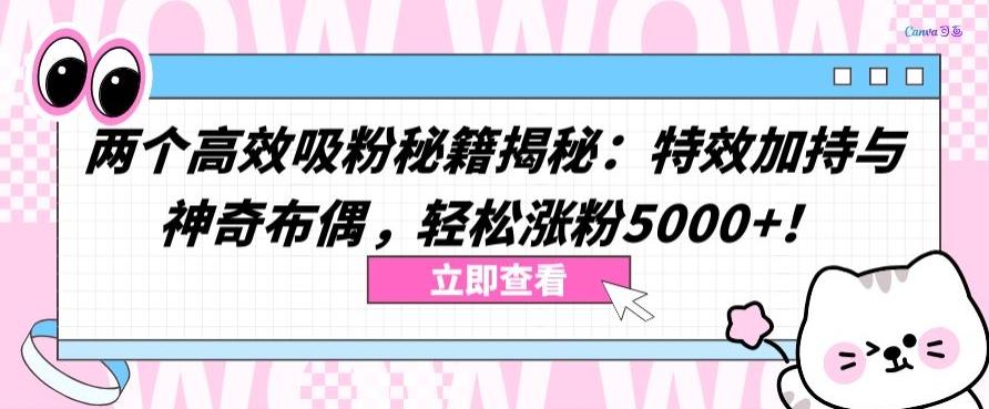 两个高效吸粉秘籍揭秘：特效加持与神奇布偶，轻松涨粉5000+【揭秘】-轻创副业圈