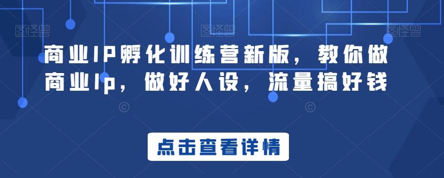 商业IP孵化训练营新版，教你做商业Ip，做好人设，流量搞好钱-轻创副业圈