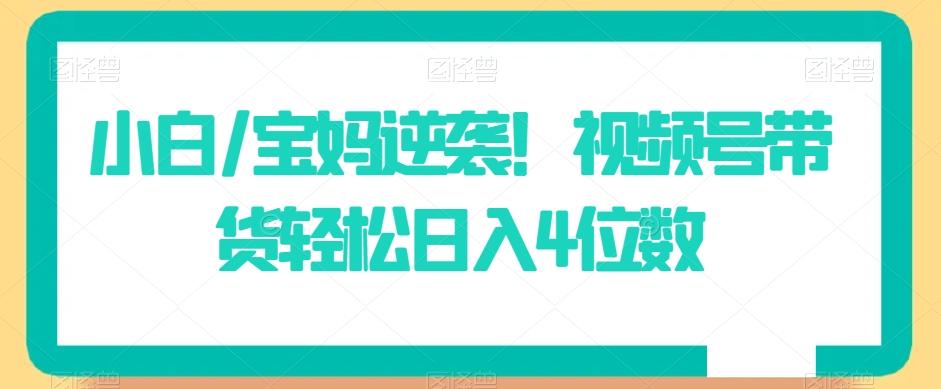 小白/宝妈逆袭！视频号带货轻松日入4位数【揭秘】-轻创副业圈