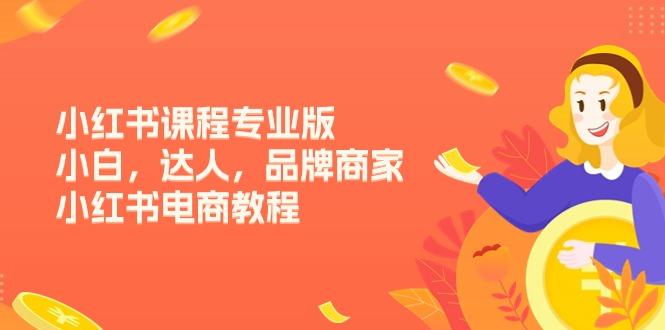 小红书课程专业版，小白，达人，品牌商家，小红书电商教程(15节-轻创副业圈