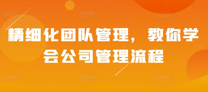 精细化团队管理，教你学会公司管理流程-轻创副业圈
