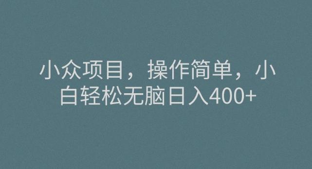 小众项目，操作简单，小白轻松无脑日入400+-轻创副业圈