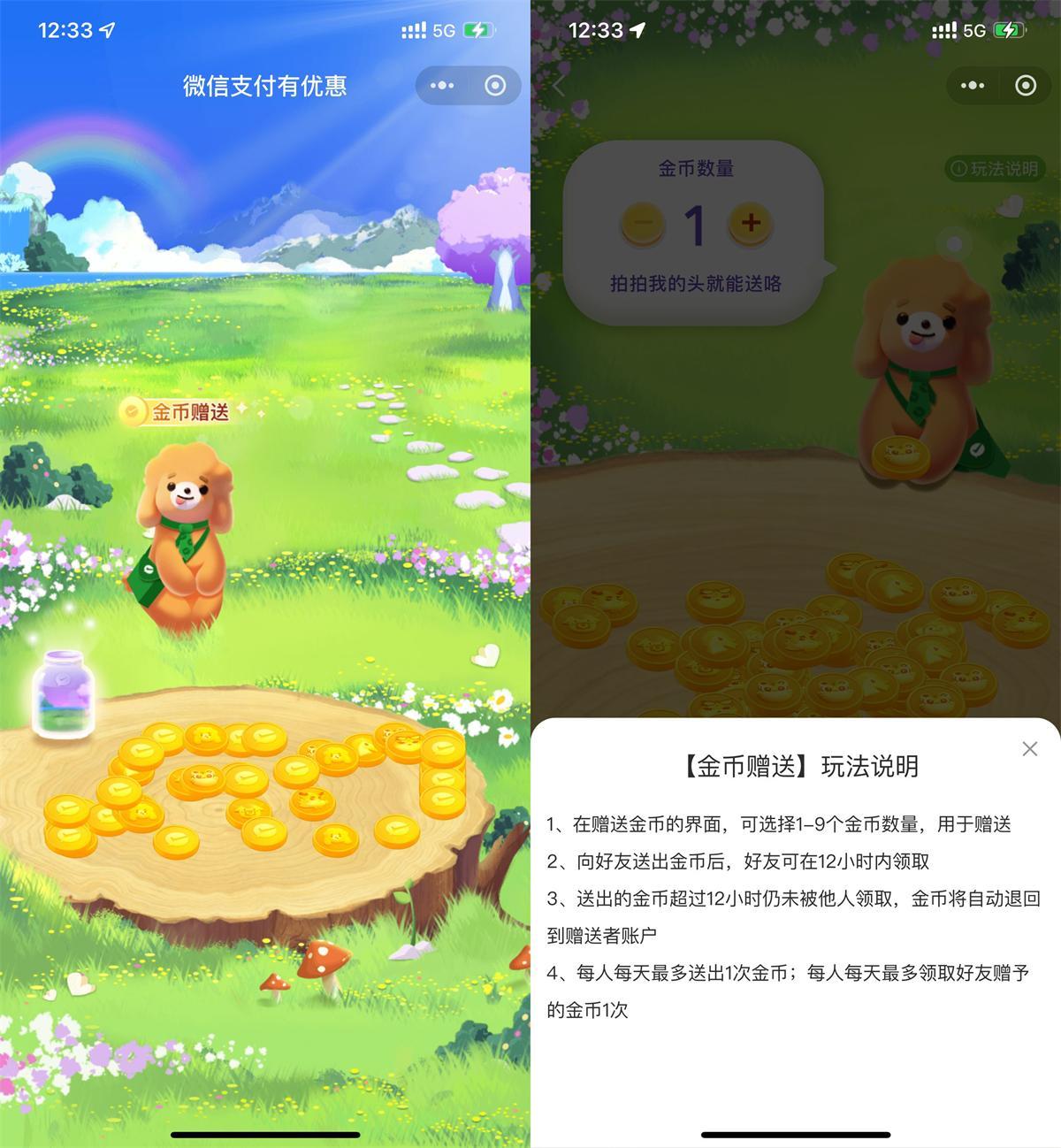 微信支付金币可赠送他人使用-轻创副业圈