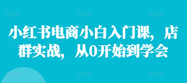 小红书电商小白入门课，店群实战，从0开始到学会-轻创副业圈