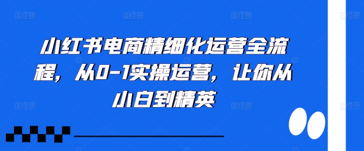 小红书电商精细化运营全流程，从0-1实操运营，让你从小白到精英-轻创副业圈