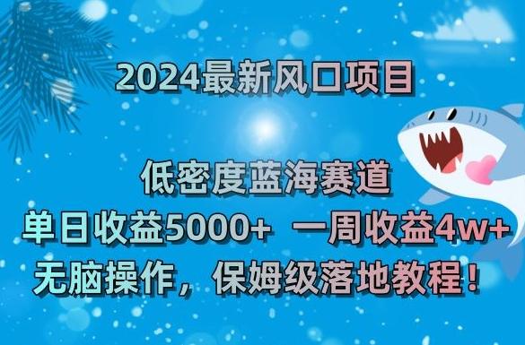 2024最新风口项目，低密度蓝海赛道，单日收益5000+，一周收益4w+！【揭秘】-轻创副业圈