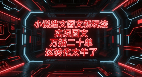 小说推文图文新玩法，实况图文，万播二十单，这转化太牛了！-轻创副业圈