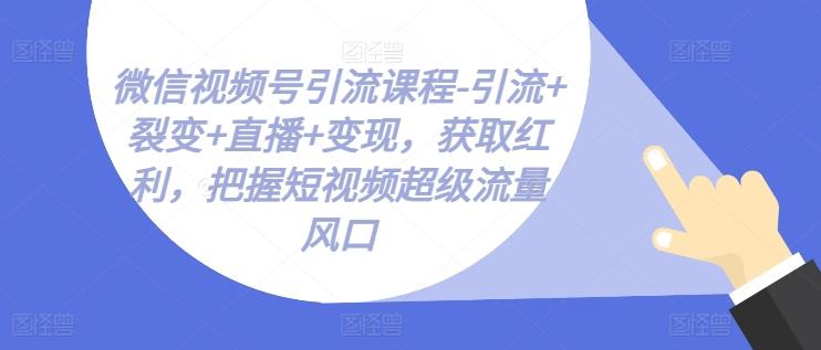 微信视频号引流课程-引流+裂变+直播+变现，获取红利，把握短视频超级流量风口-轻创副业圈
