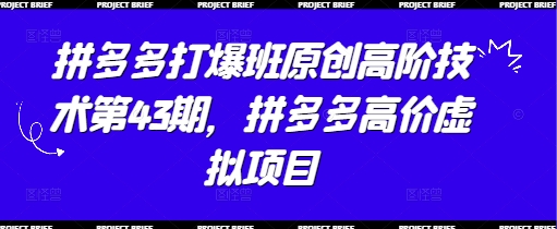 拼多多打爆班原创高阶技术第43期，拼多多高价虚拟项目-轻创副业圈