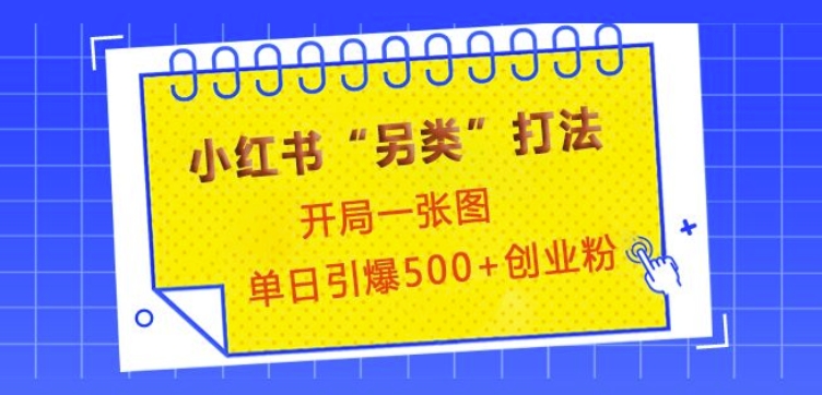 小红书“另类”打法，开局一张图，单日引爆500+精准创业粉【揭秘】-轻创副业圈