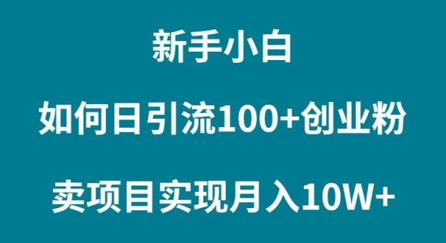 (9556期)新手小白如何通过卖项目实现月入10W+-轻创副业圈