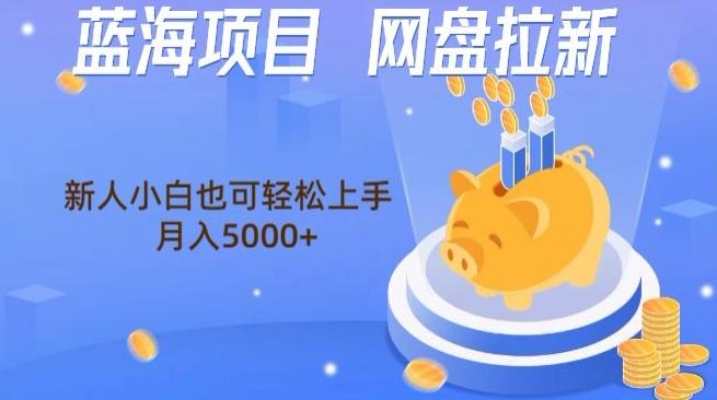 蓝海项目网盘拉新，新人小白也可操作，每月收入5000+-轻创副业圈