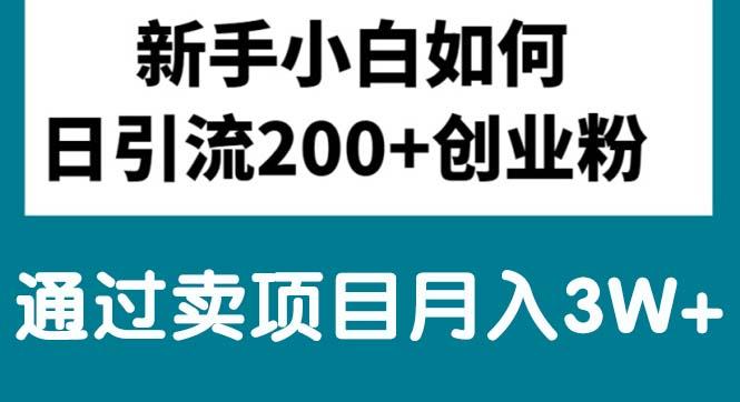 新手小白日引流200+创业粉,通过卖项目月入3W+-轻创副业圈