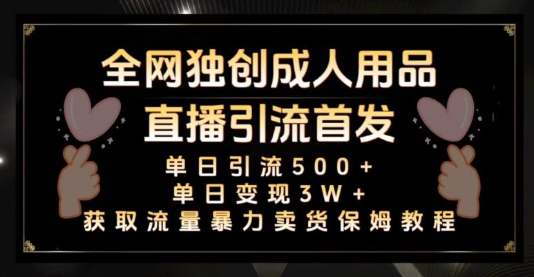 全网独创真人主播+无人直播单日引流500+，橙人用品暴力卖货单日变现3W+保姆似教学2.0【揭秘】-轻创副业圈