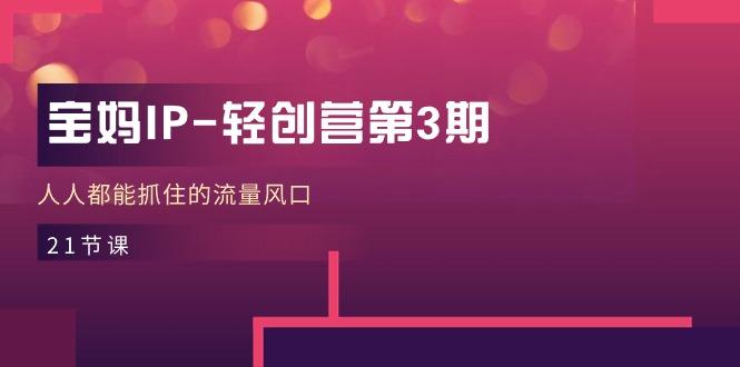 宝妈IP-轻创营第3期，人人都能抓住的流量风口(21节课-轻创副业圈