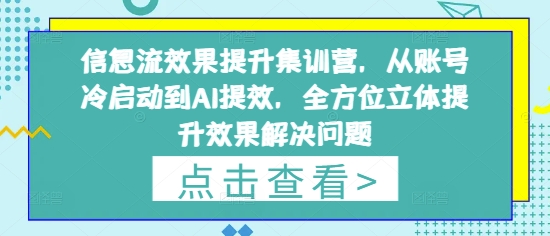 信息流效果提升集训营，从账号冷启动到AI提效，全方位立体提升效果解决问题-轻创副业圈