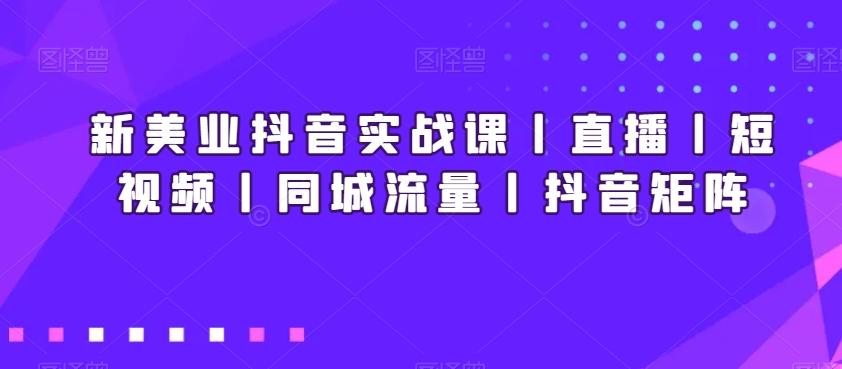 新美业抖音实战课丨直播丨短视频丨同城流量丨抖音矩阵-轻创副业圈