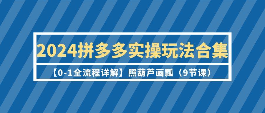 (9559期)2024拼多多实操玩法合集【0-1全流程详解】照葫芦画瓢(9节课)-轻创副业圈