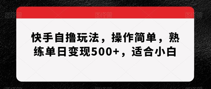 快手自撸玩法，操作简单，熟练单日变现500+，适合小白【揭秘】-轻创副业圈