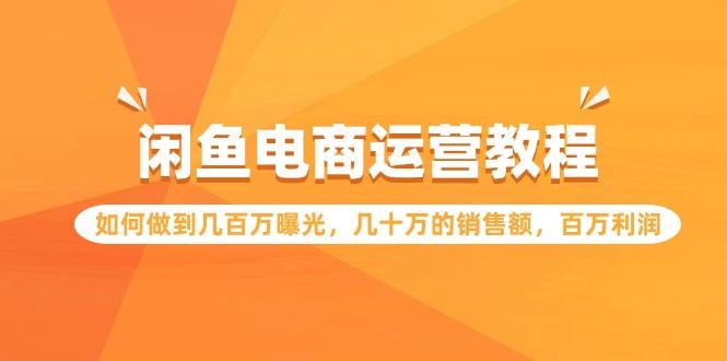(9560期)闲鱼电商运营教程：如何做到几百万曝光，几十万的销售额，百万利润-轻创副业圈