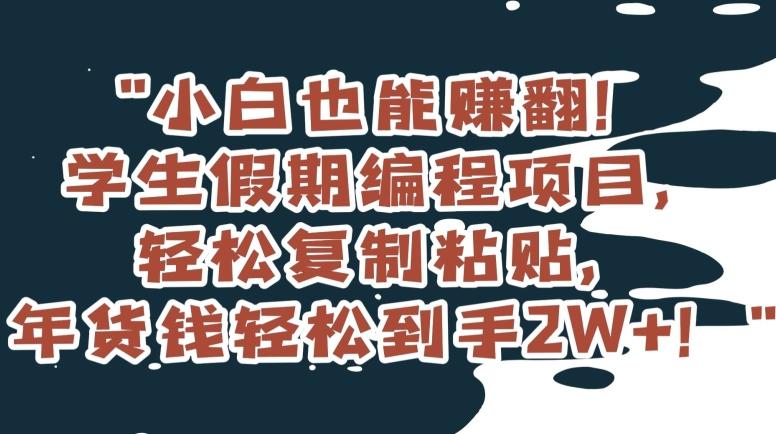 小白也能赚翻！学生假期编程项目，轻松复制粘贴，年货钱轻松到手2W+【揭秘】-轻创副业圈