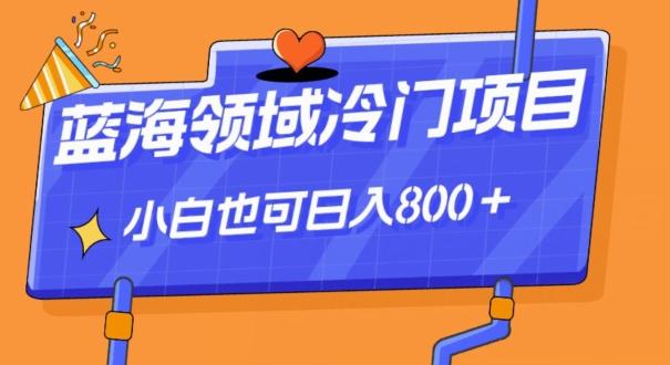 蓝海领域冷门赛道，一单39.9，日入800＋-轻创副业圈