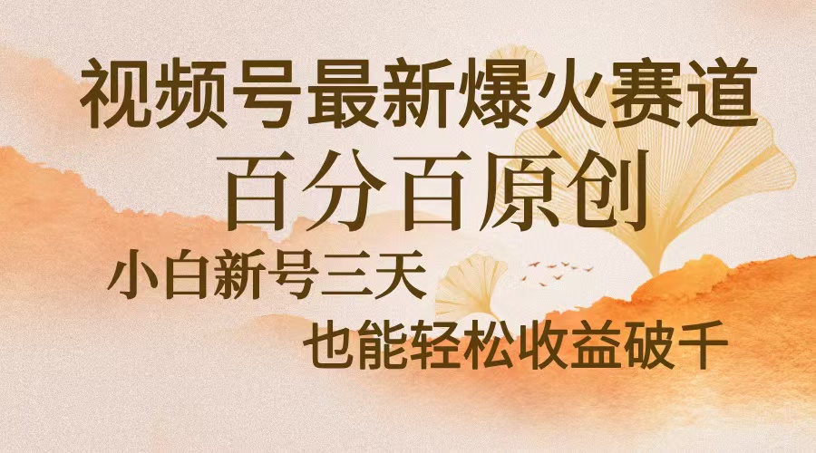 视频号最新爆火赛道，中老年粉深信不疑，百分百原创，新号三天收益轻松…-轻创副业圈