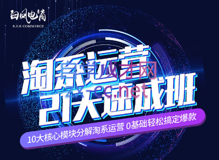 淘系运营21天速成班(更新24年5月)-轻创副业圈