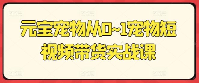 元宝宠物从0~1宠物短视频带货实战课-轻创副业圈