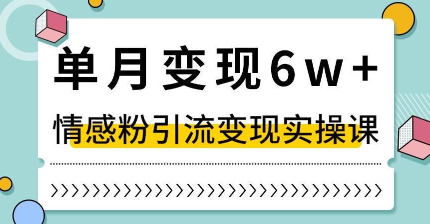 单月变现6W+，抖音情感粉引流变现实操课，小白可做，轻松上手，独家赛道【揭秘】-轻创副业圈