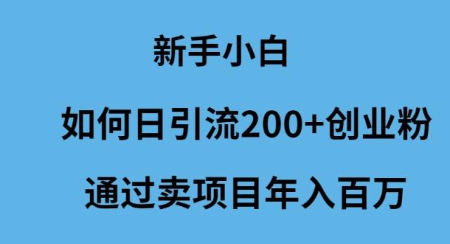 (9668期)新手小白如何日引流200+创业粉通过卖项目年入百万-轻创副业圈