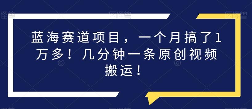 蓝海赛道项目，一个月搞了1万多！几分钟一条原创视频搬运！-轻创副业圈