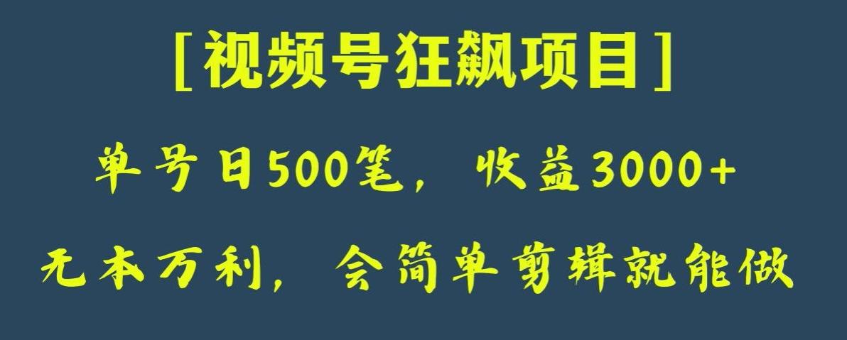 日收款500笔，纯利润3000+，视频号狂飙项目，会简单剪辑就能做【揭秘】-轻创副业圈