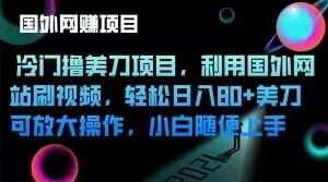 冷门撸美刀项目，利用国外网站刷视频，轻松日入80+美刀，可放大操作，小白随便上手-轻创副业圈